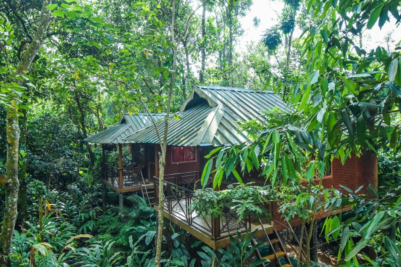 Monsoon Retreats Ecostay- Treehouse Thekkady Exterior photo