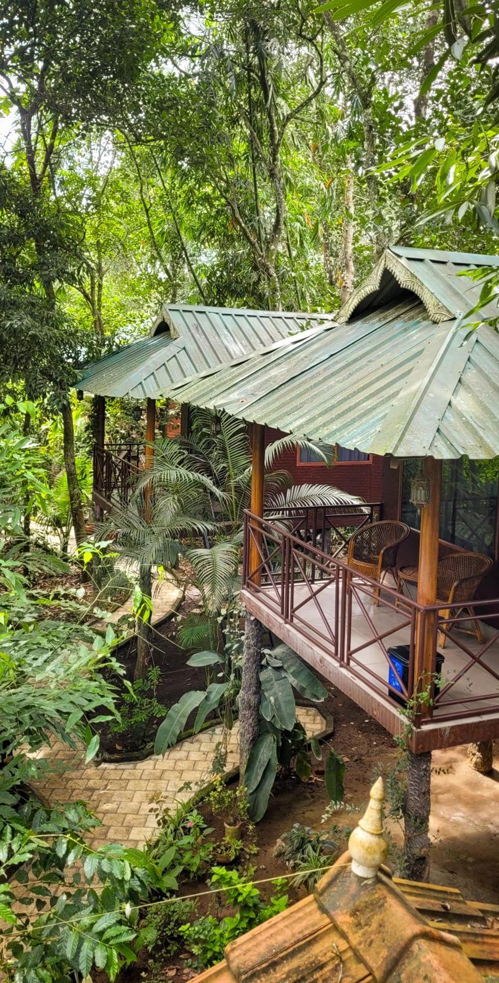 Monsoon Retreats Ecostay- Treehouse Thekkady Exterior photo