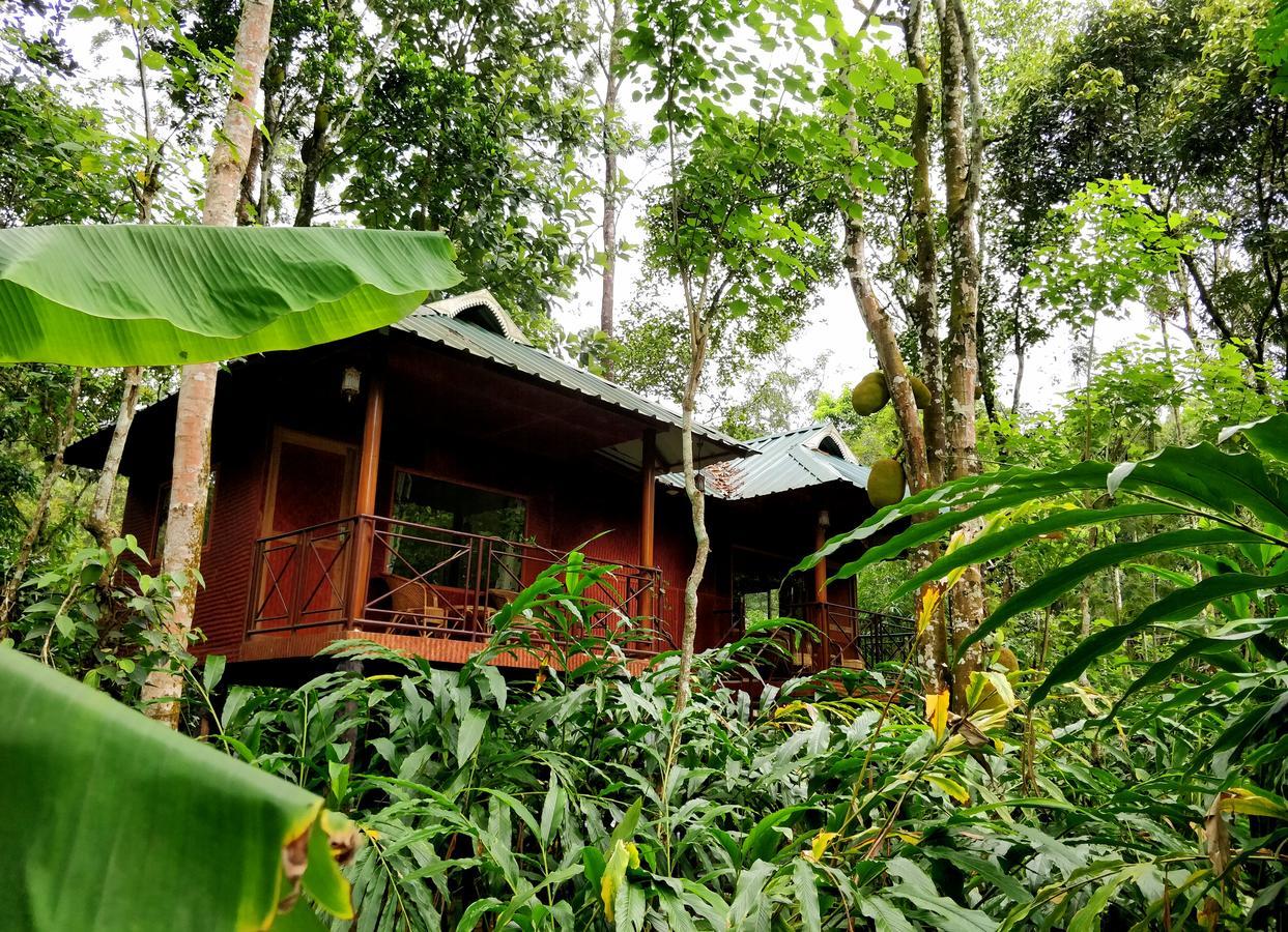 Monsoon Retreats Ecostay- Treehouse Thekkady Exterior photo